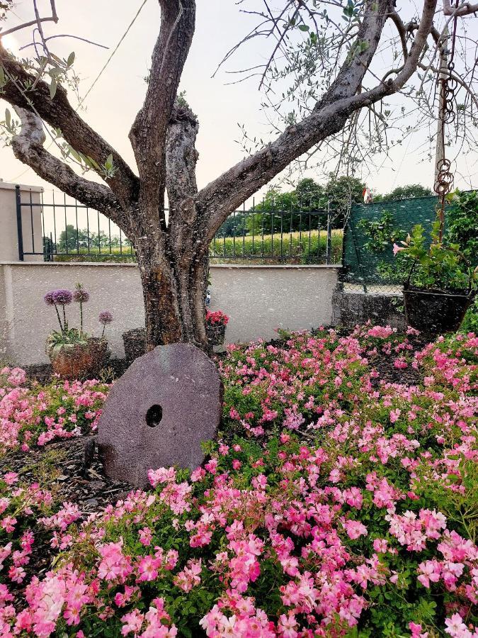 Guest house Casa Autunno Monzambano