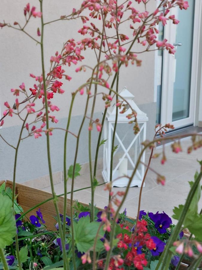 Casa Autunno Affittacamere *