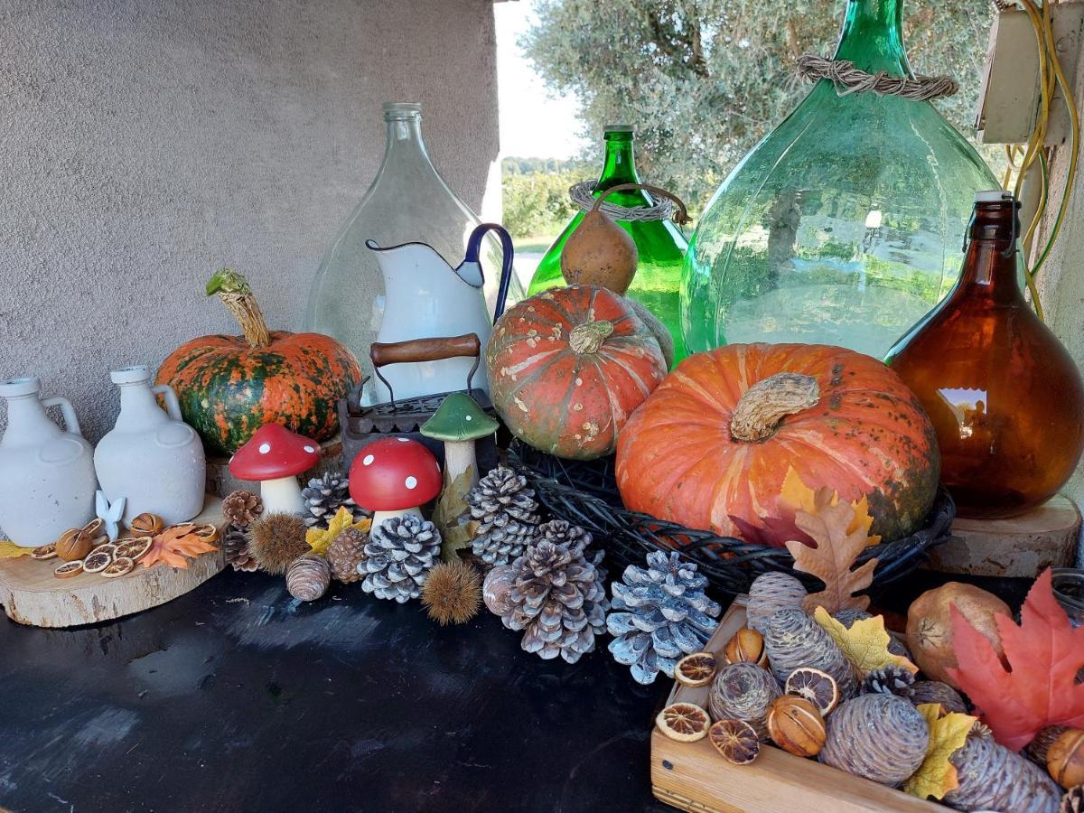 Affittacamere Casa Autunno *